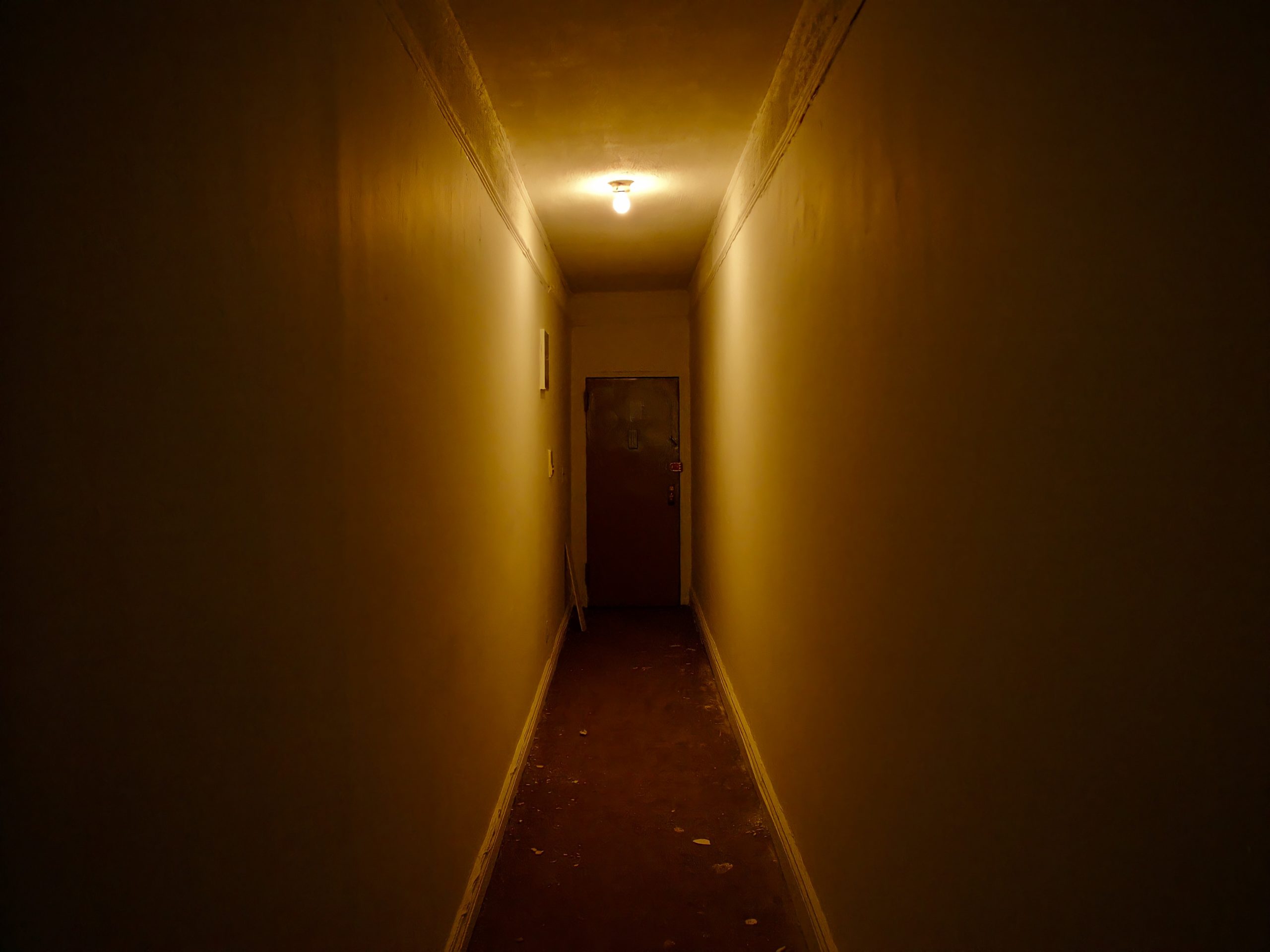 Copyright T. C. XENOS__018