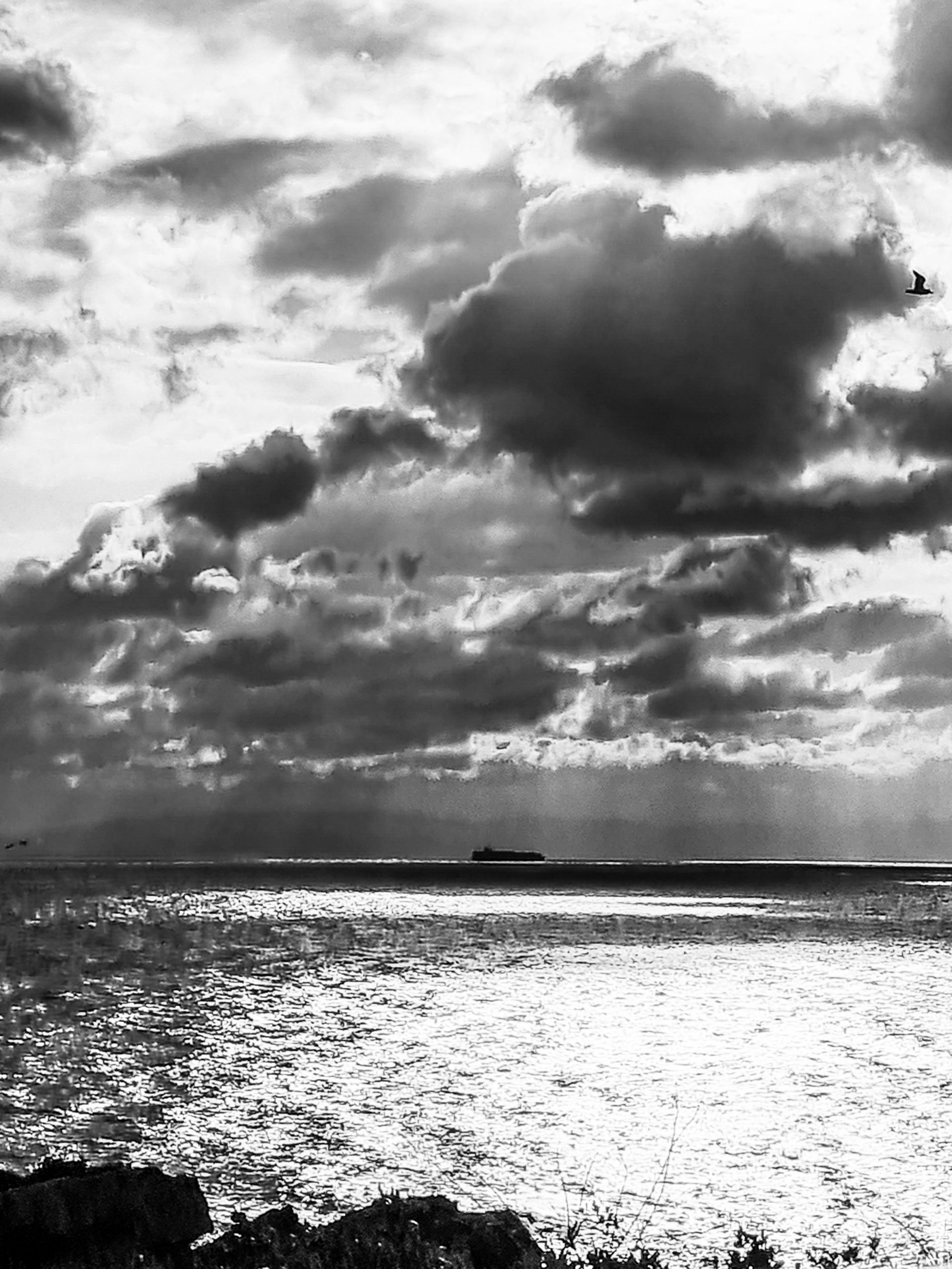 Copyright Takis Veremis__002_bright