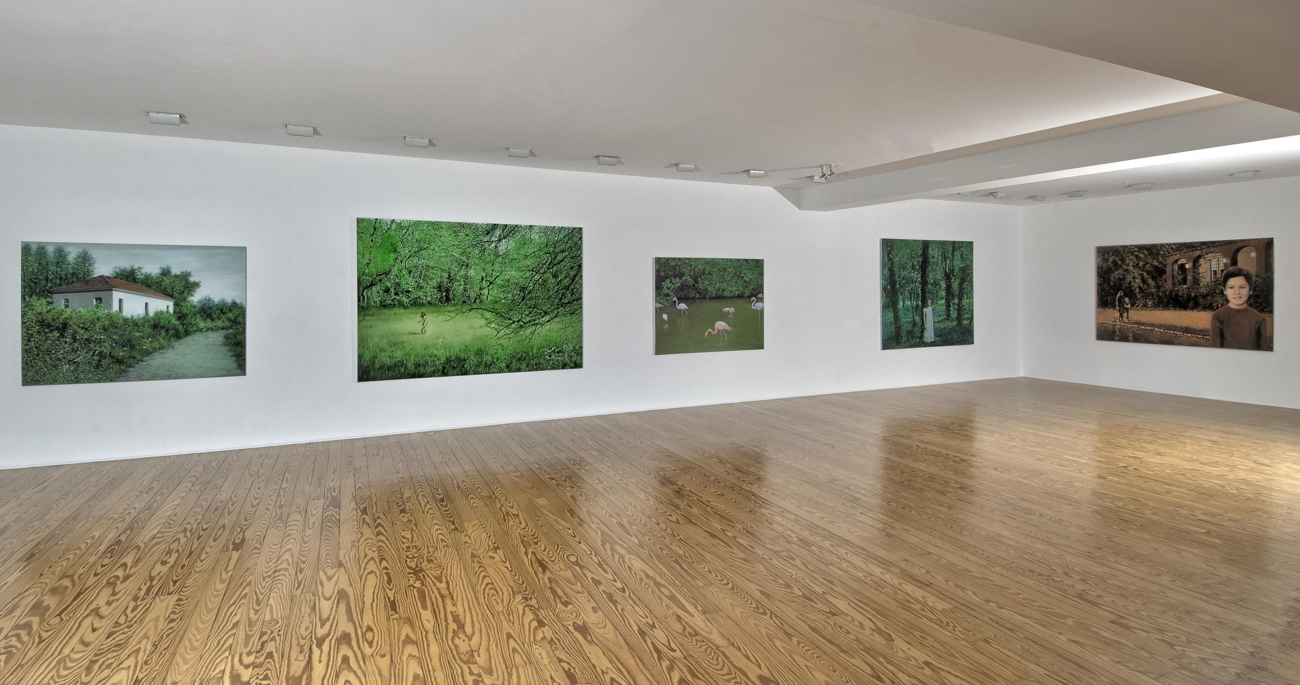 view of the exhibition photo by studio Vaharidis_1