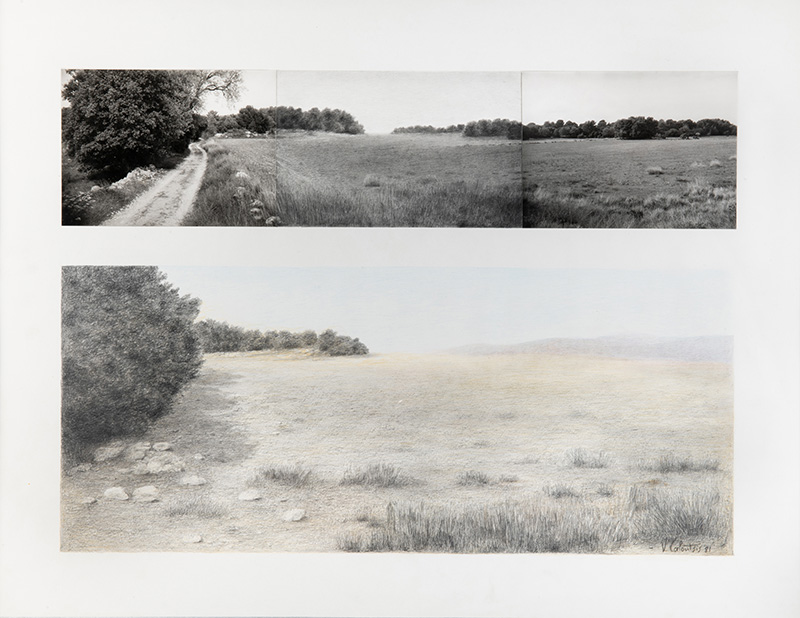 Variations in landscape