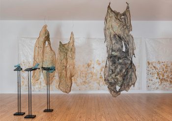 Water abandons itself. View of the exhibition 2