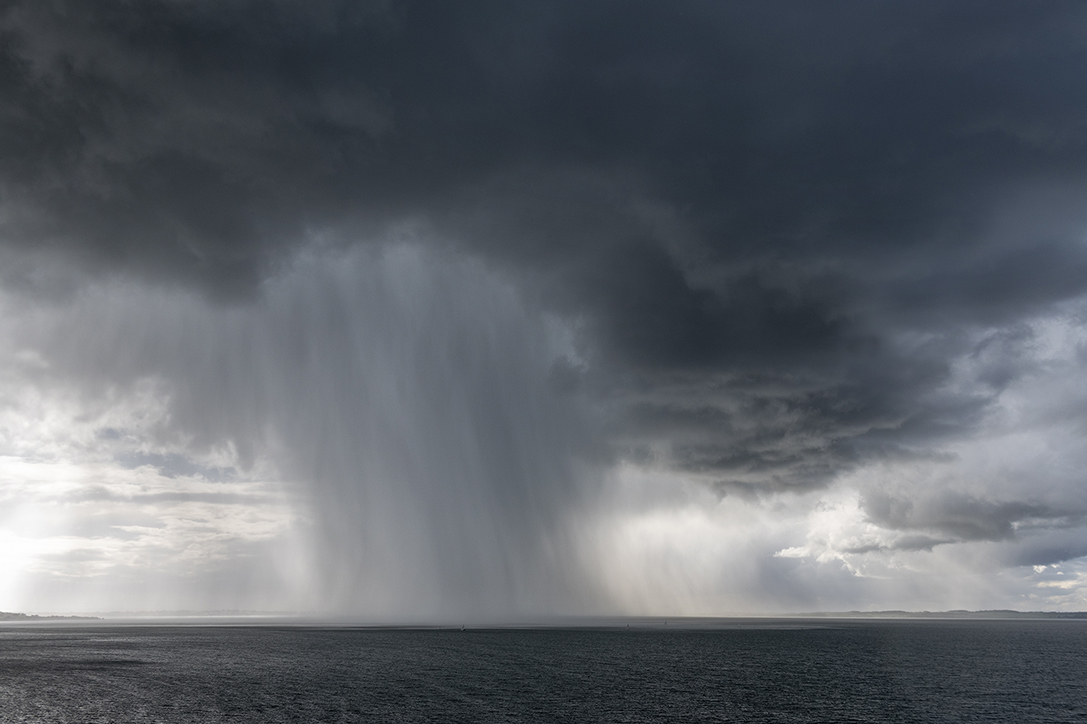 3.Tzortzis_Phillip Island Nature Park_Victoria_Australia__97Χ142_web