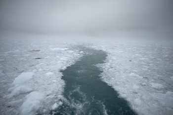 Yannis Tzortzis, Greenland: Blue Ice