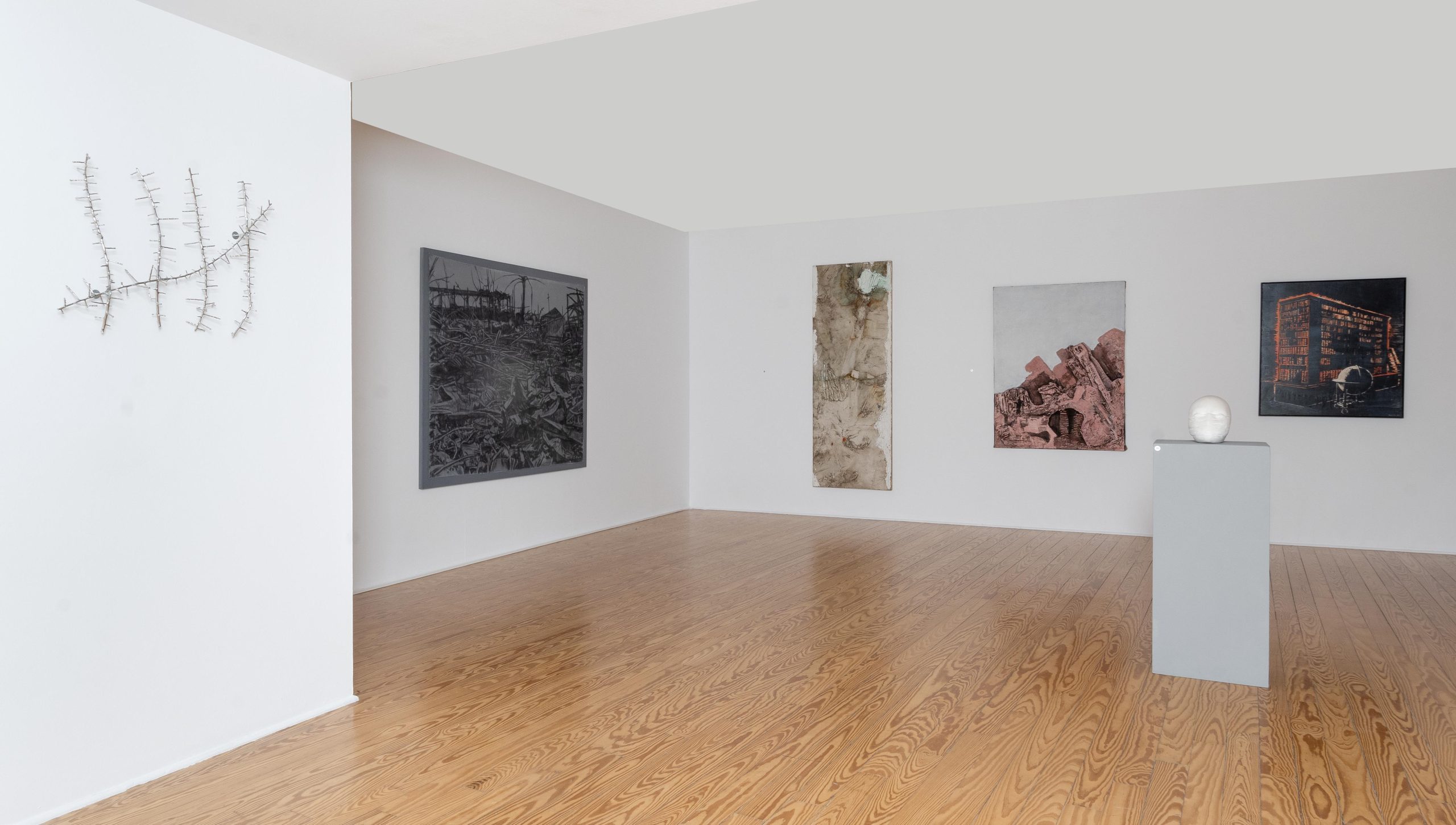 _DSC2204